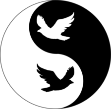 Yin Yang Ptice